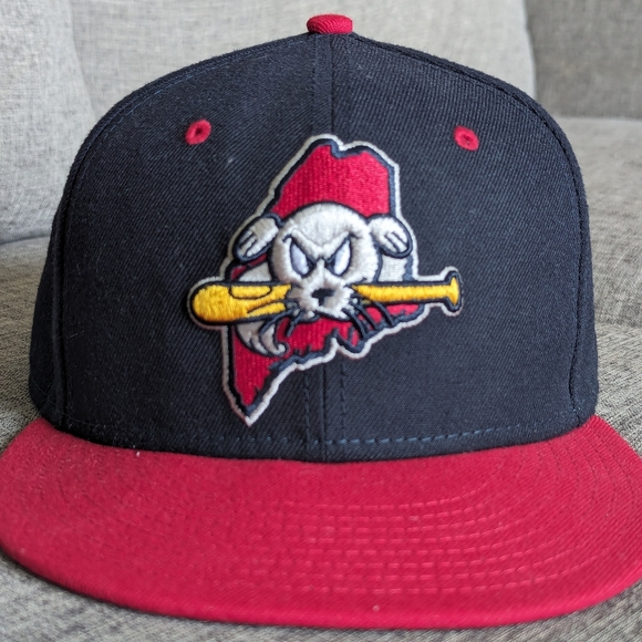 Portland Sea Dogs Fitted Hat - Picture 1 of 2